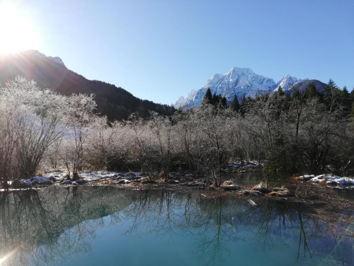 Apartment Jakelj Kranjska Gora Exteriör bild